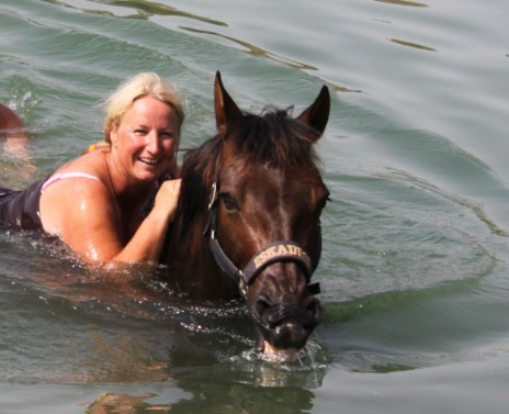 Caballos en el Lago