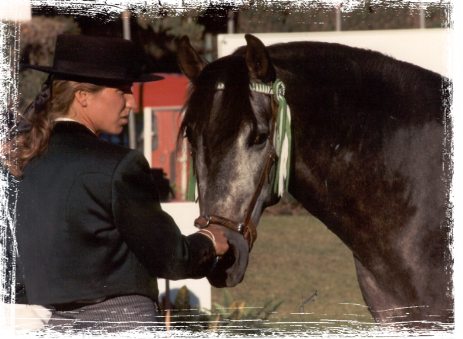 contacto con el caballo